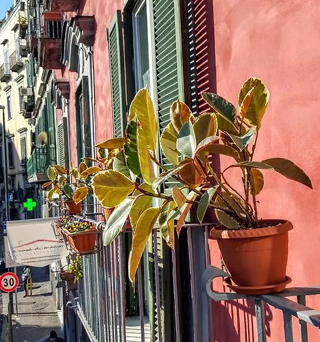 A Casa Di Mamma Neapel